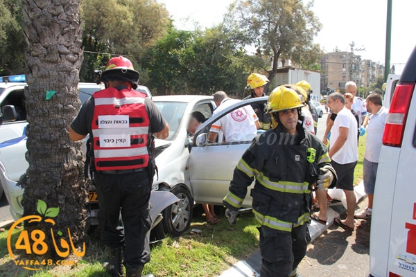 acc yaffa jasterret (1).JPG